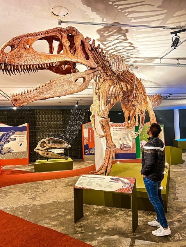 Exposição de dinossauros